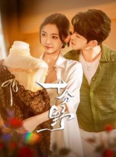 短剧《摘星予南风》73集短剧全集高清在线免费追