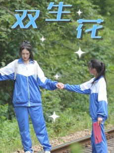 短剧《双生花》36集短剧手机电脑双端同步看