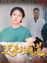 短剧《迟来的通道》30集短剧在线高清免费看大结局