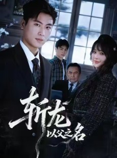 短剧《斩龙：以父之名》85集短剧全剧免费在线览