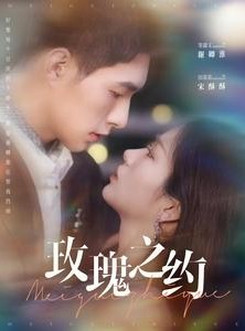 短剧《玫瑰之约》95集短剧大屏观影家庭共享版