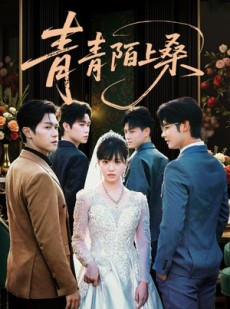 短剧《青青陌上桑》70集短剧网盘资源免费观看