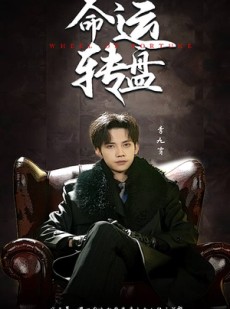 短剧《命运转盘》43集短剧蓝光画质无广告观看