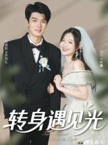 短剧《转身遇见光》54集短剧1080P画质免费看