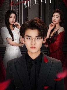 短剧《薛先生的驯主日记》86集短剧全集更新中在线追更