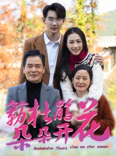 短剧《簕杜鹃花朵朵开》38集短剧高清流畅在线免费看