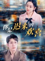 短剧《你是迟来的欢喜》93集短剧高清流畅在线观看