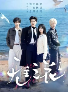 短剧《无主之花1》72集短剧完整版高清在线观看