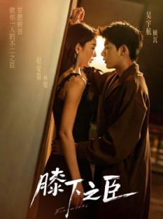 短剧《膝下之臣》56集短剧全集免费在线畅享