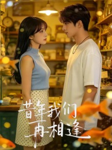 短剧《昔年我们再相逢》40集短剧完整版免费畅享观看