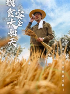 短剧《粮食安全大如天》43集短剧全集免费观看无广告