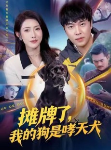 短剧《摊牌了，我的狗是哮天犬》98集短剧全剧无广告在线速看