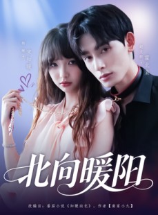 短剧《北向暖阳》80集短剧高清全集手机在线观看