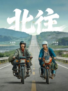短剧《北往》61集短剧超清画质免费畅享