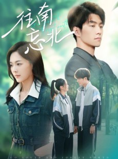 短剧《往南忘北》73集短剧海外版全集无删减观看