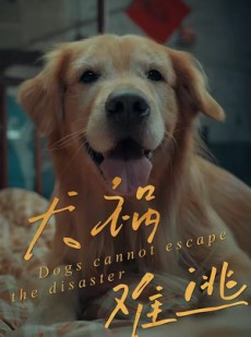 短剧《犬祸难逃》33集短剧流畅观看全集