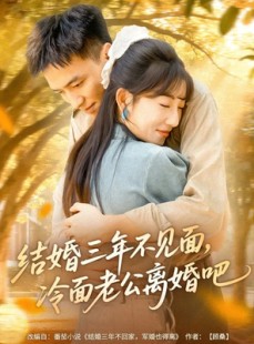 短剧《结婚三年不见面，冷面老公离婚吧》67集短剧在线观看全集不卡顿