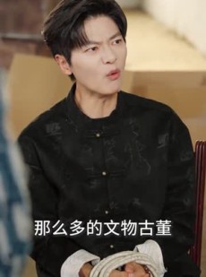 短剧《本想做个假古董，却成了鉴宝大师》80集短剧无广告全集在线观