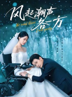 短剧《风起潮声各一方》84集短剧完整版免费畅享观看