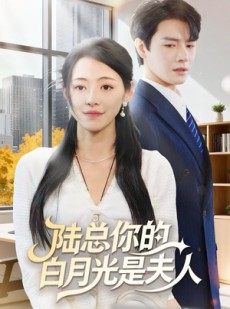 短剧《陆总你的白月光是夫人》51集短剧高清无删减全集免费看