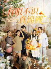 短剧《有眼不识真锦鲤》35集短剧无广告免费看全集