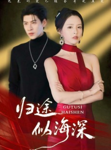 短剧《归途似海深》61集短剧超清画质在线追剧