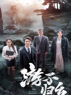 短剧《游子归乡》61集短剧全集高清极速播放