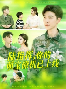 短剧《陆指挥你的萌宝僚机已上线》169集短剧全集高清流畅下载看