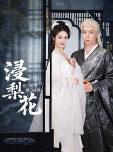 短剧《浸梨花》50集短剧网盘资源免费观看