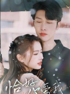 短剧《恰好你爱我》87集短剧高清资源在线免费追剧