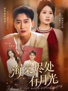 短剧《海棠烬处有月光》70集短剧完整版免费畅享观看