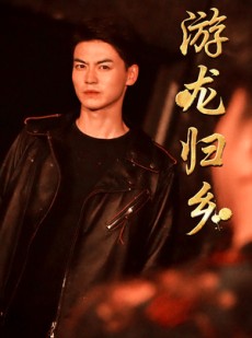 短剧《游龙归乡》60集短剧全集高清版抢先观看