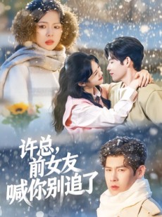 短剧《许总，前女友喊你别追了》80集短剧高清无删减在线看