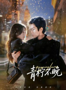 短剧《青柠不晚》78集短剧全集免费看无广告