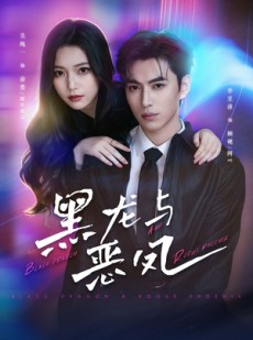 短剧《黑龙与恶凤》61集短剧在线观看爽到结局