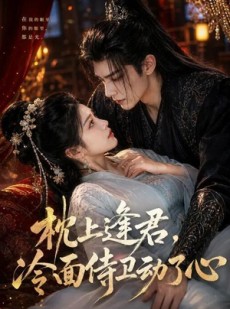短剧《枕上逢君，冷面侍卫动了心》92集短剧超清画质在线追剧