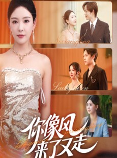 短剧《你像风来了又走》59集短剧全集在线免费看