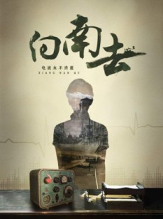 短剧《向南去》25集短剧全集高清在线畅享不停
