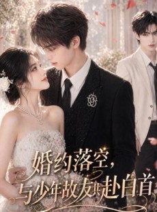短剧《婚约落空，与少年故友共赴白首》41集短剧高清在线畅享全集