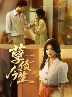 短剧《孽债今生》65集短剧1080P超清免费畅看