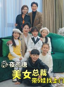 短剧《一夜荒唐美女总裁带5娃找上门》77集短剧高清流畅在线观看