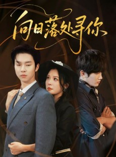 短剧《向日落处寻你》70集短剧完整版免费畅看