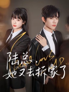 短剧《陆总，她又去拆家了》80集短剧超清画质在线免费观