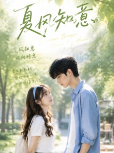 短剧《夏风知意》35集短剧免费高清全集观看