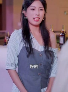 短剧《都市一品傻婿》96集短剧高清全集一键观看
