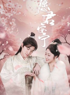 短剧《愿君安宁》34集短剧全集高清版在线畅看