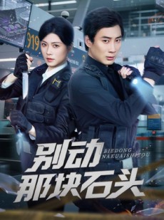 短剧《别动那块石头》58集短剧1080P在线免费观影