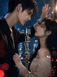 短剧《相逢皆是劝分人》57集短剧1080P在线免费赏