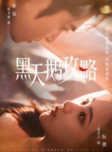 短剧《黑天鹅攻略》65集短剧全集资源一键解锁观看