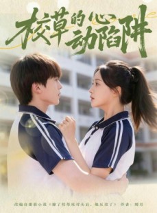 短剧《校草的心动陷阱》60集短剧在线解锁全集畅快看